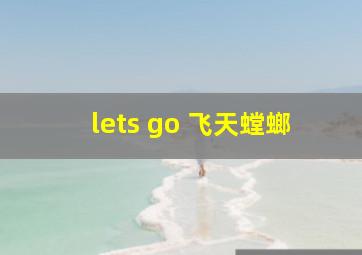 lets go 飞天螳螂